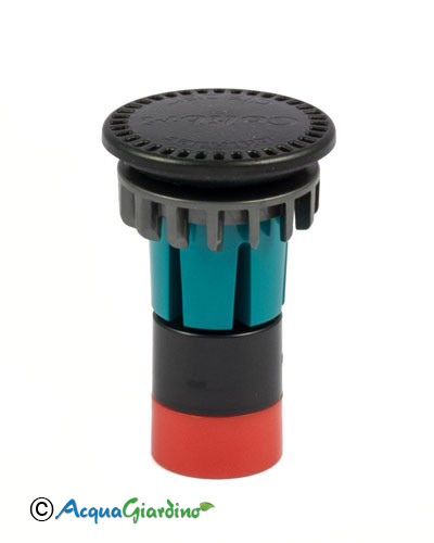 Testina Colibrì 180°